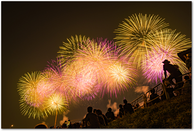 江戸川花火大会の打ち上げ花火と観客の様子